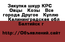 Закупка шкур КРС , Овцы , Козы - Все города Другое » Куплю   . Калининградская обл.,Балтийск г.